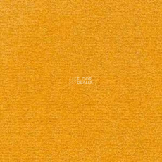 Radici Nexus Papaya 2428 фото 1 | FLOORDEALER